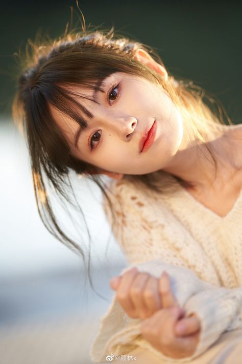 《后宫狂热》动漫全集完整
